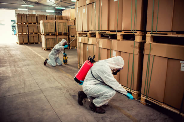 Best Exterminator Services  in Hillcrest, CA