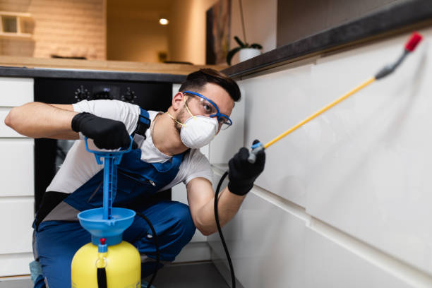 Best Commercial Pest Control Services  in Hillcrest, CA