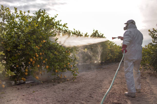 Pest Prevention Services in Hillcrest, CA