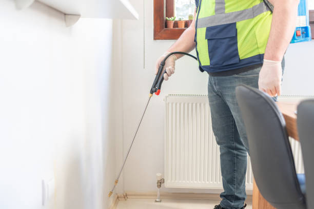 Best Mosquito Control Services  in Hillcrest, CA