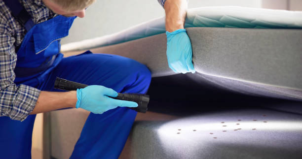 Best Emergency Pest Control  in Hillcrest, CA