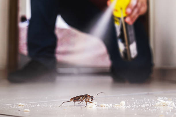  Hillcrest, CA Pest Control Pros