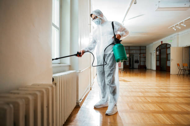 Best Local Pest Control Services  in Hillcrest, CA