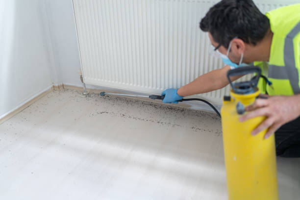 Best Wasp Removal Services  in Hillcrest, CA