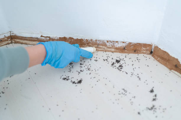 Hillcrest, CA Pest Control Company